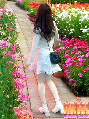 Photo.3